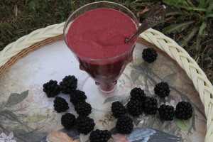 blackberries coctail